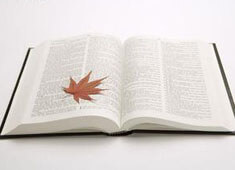 威尔士小胜冰岛，锁定欧预赛决赛资格